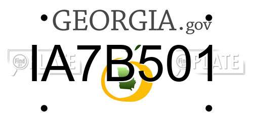 IA7B501 Georgia License Plate