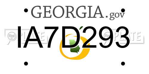 IA7D293 Georgia License Plate