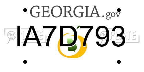 IA7D793 Georgia License Plate