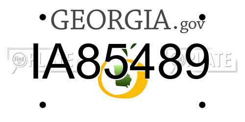 IA85489 Georgia License Plate