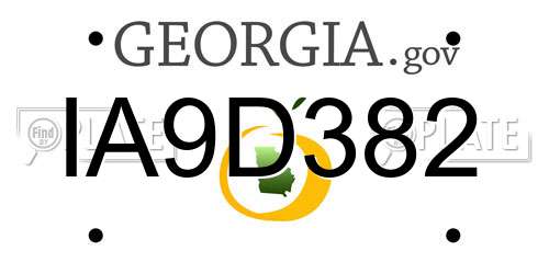 IA9D382 Georgia License Plate