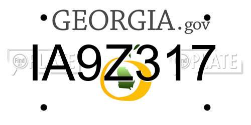 IA9Z317 Georgia License Plate