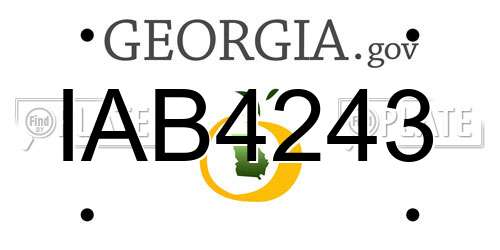 IAB4243 Georgia License Plate