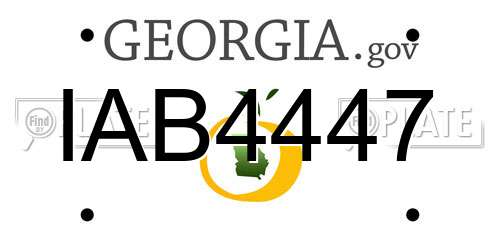 IAB4447 Georgia License Plate