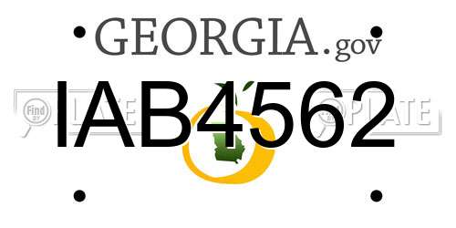 IAB4562 Georgia License Plate