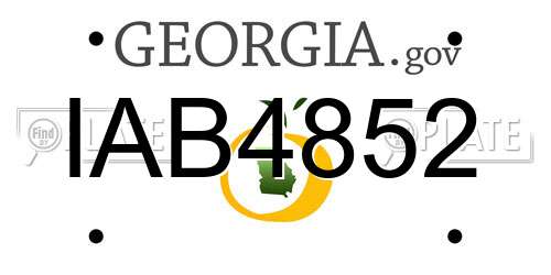 IAB4852 Georgia License Plate