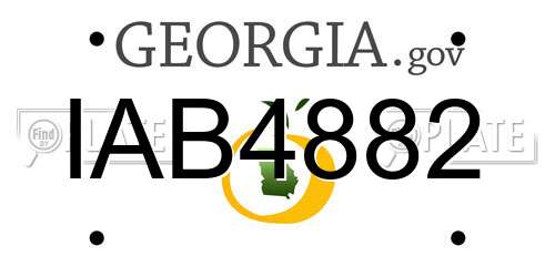 IAB4882 Georgia License Plate