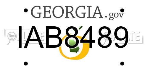IAB8489 Georgia License Plate