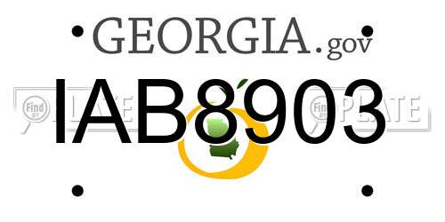 IAB8903 Georgia License Plate