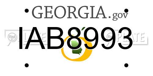 IAB8993 Georgia License Plate