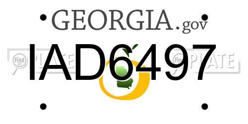IAD6497 Georgia License Plate