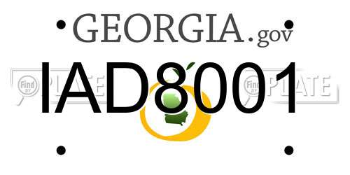 IAD8001 Georgia License Plate