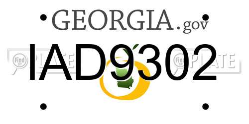 IAD9302 Georgia License Plate
