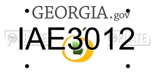 IAE3012 Georgia License Plate