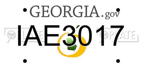 IAE3017 Georgia License Plate