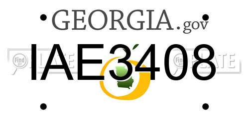 IAE3408 Georgia License Plate