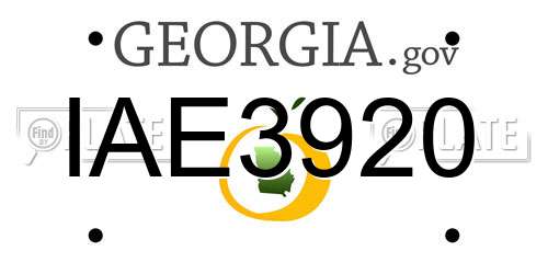 IAE3920 Georgia License Plate