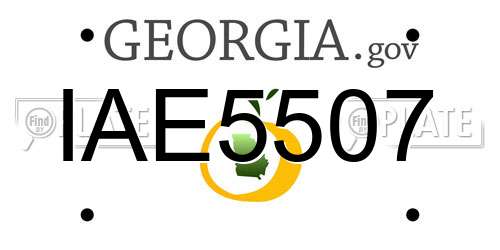 IAE5507 Georgia License Plate