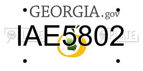 IAE5802 Georgia License Plate