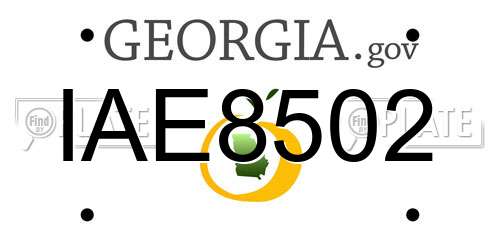 IAE8502 Georgia License Plate