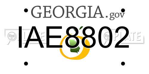 IAE8802 Georgia License Plate