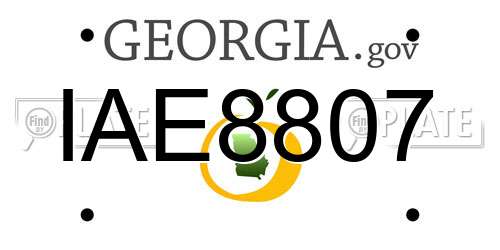 IAE8807 Georgia License Plate