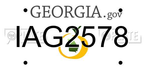 IAG2578 Georgia License Plate