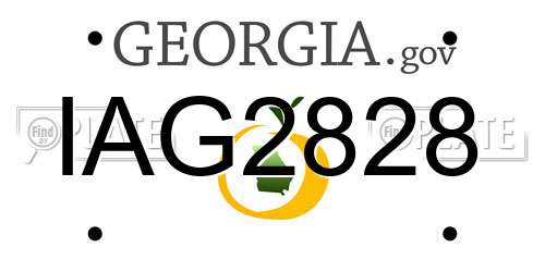 IAG2828 Georgia License Plate
