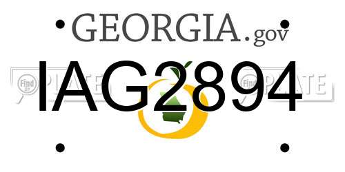 IAG2894 Georgia License Plate