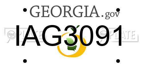 IAG3091 Georgia License Plate