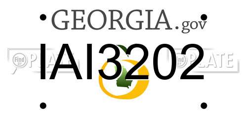 IAI3202 Georgia License Plate
