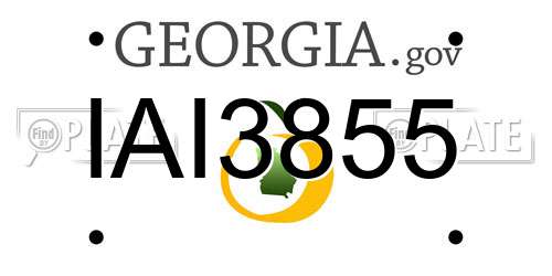 IAI3855 Georgia License Plate