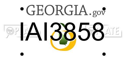 IAI3858 Georgia License Plate