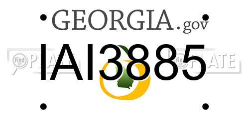 IAI3885 Georgia License Plate