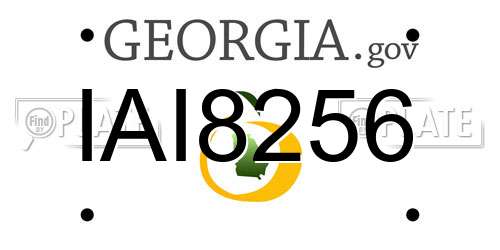 IAI8256 Georgia License Plate