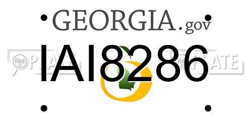 IAI8286 Georgia License Plate