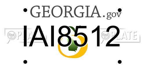 IAI8512 Georgia License Plate