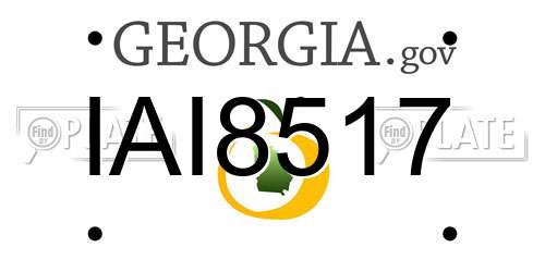 IAI8517 Georgia License Plate