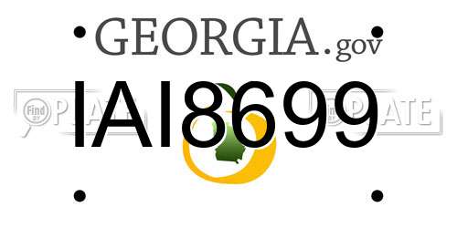 IAI8699 Georgia License Plate