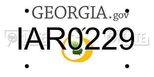 IAR0229 Georgia License Plate