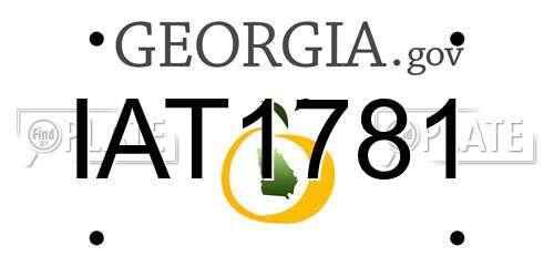 IAT1781 Georgia License Plate