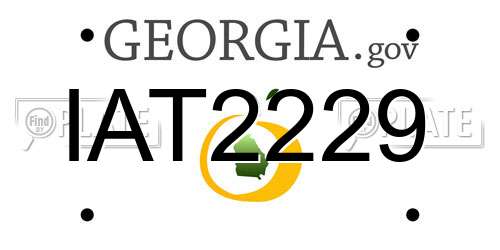 IAT2229 Georgia License Plate