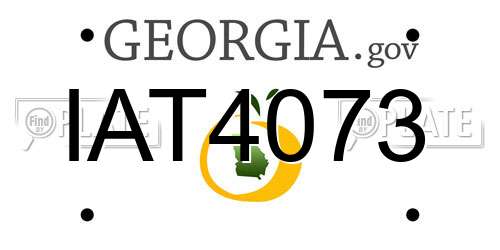 IAT4073 Georgia License Plate
