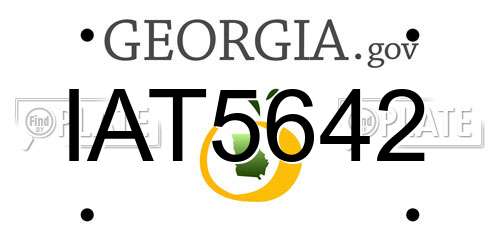 IAT5642 Georgia License Plate