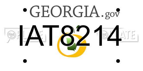 IAT8214 Georgia License Plate
