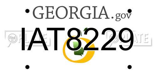 IAT8229 Georgia License Plate