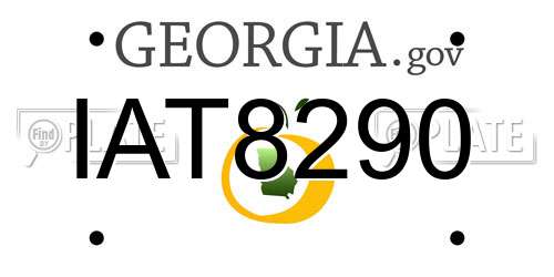IAT8290 Georgia License Plate