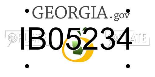 IB05234 Georgia License Plate