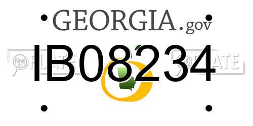 IB08234 Georgia License Plate