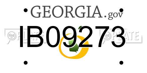 IB09273 Georgia License Plate